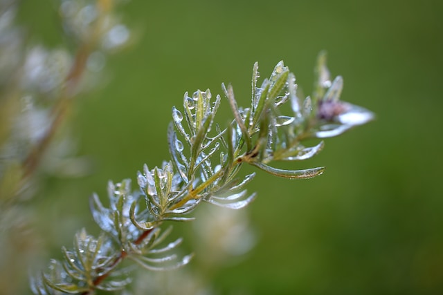 Foto di Luca Volpe su Unsplash